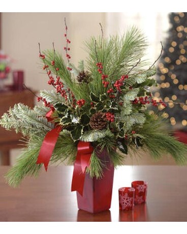 Everlasting Evergreen